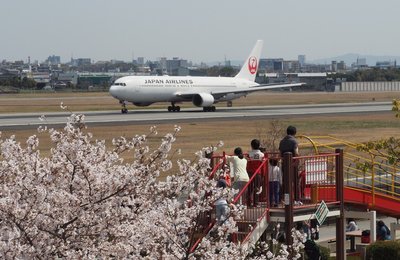 ✈️ 이타미 스카이파크 이미지 2